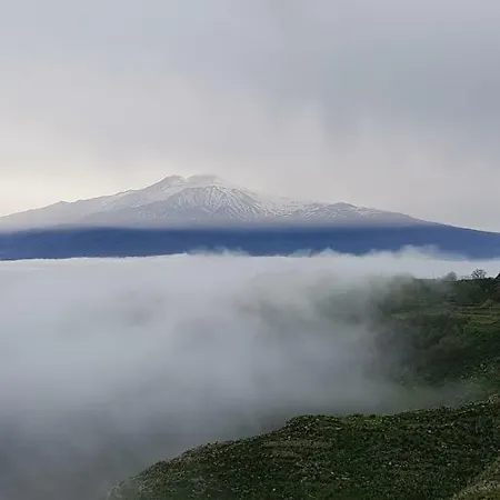 Апартаменты Naxian Holidays *